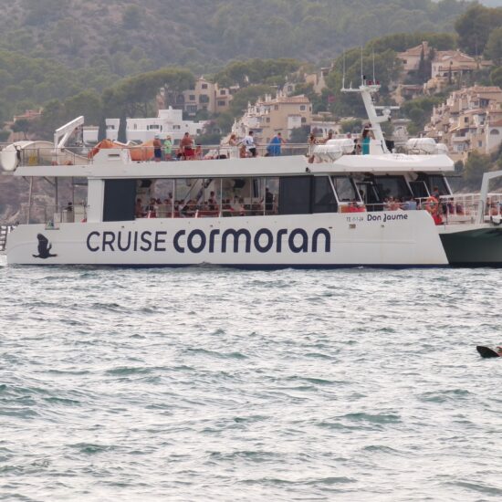 Bootfeest, vrienden, zonnige zee.