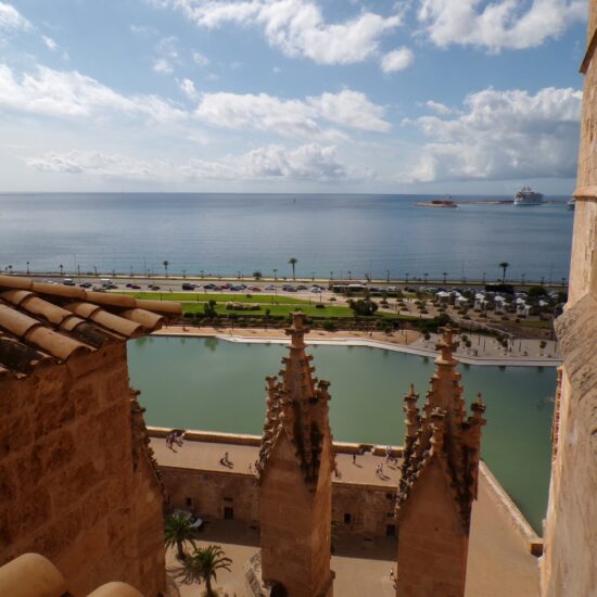 Enorm gotisch roosvenster.