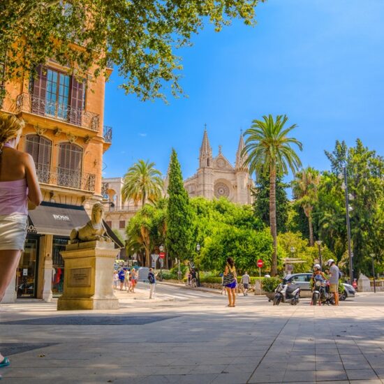 uitzicht op de kathedraal van Mallorca