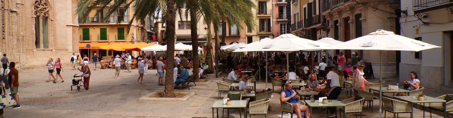 Mallorca Llaüt Excursie rond Palma met eten en drinken