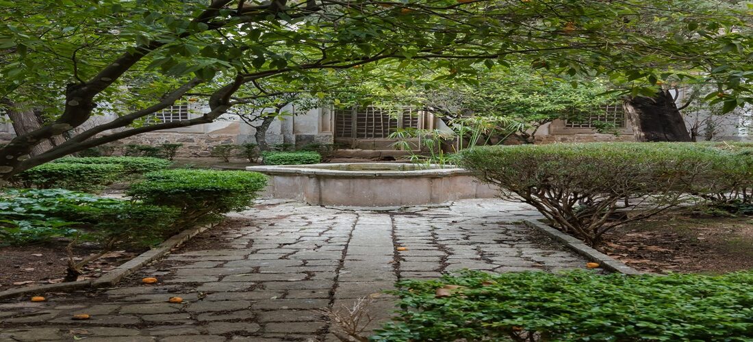 Palma en Valldemossa