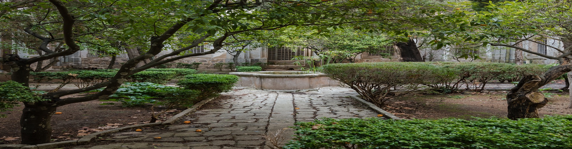 Palma en Valldemossa