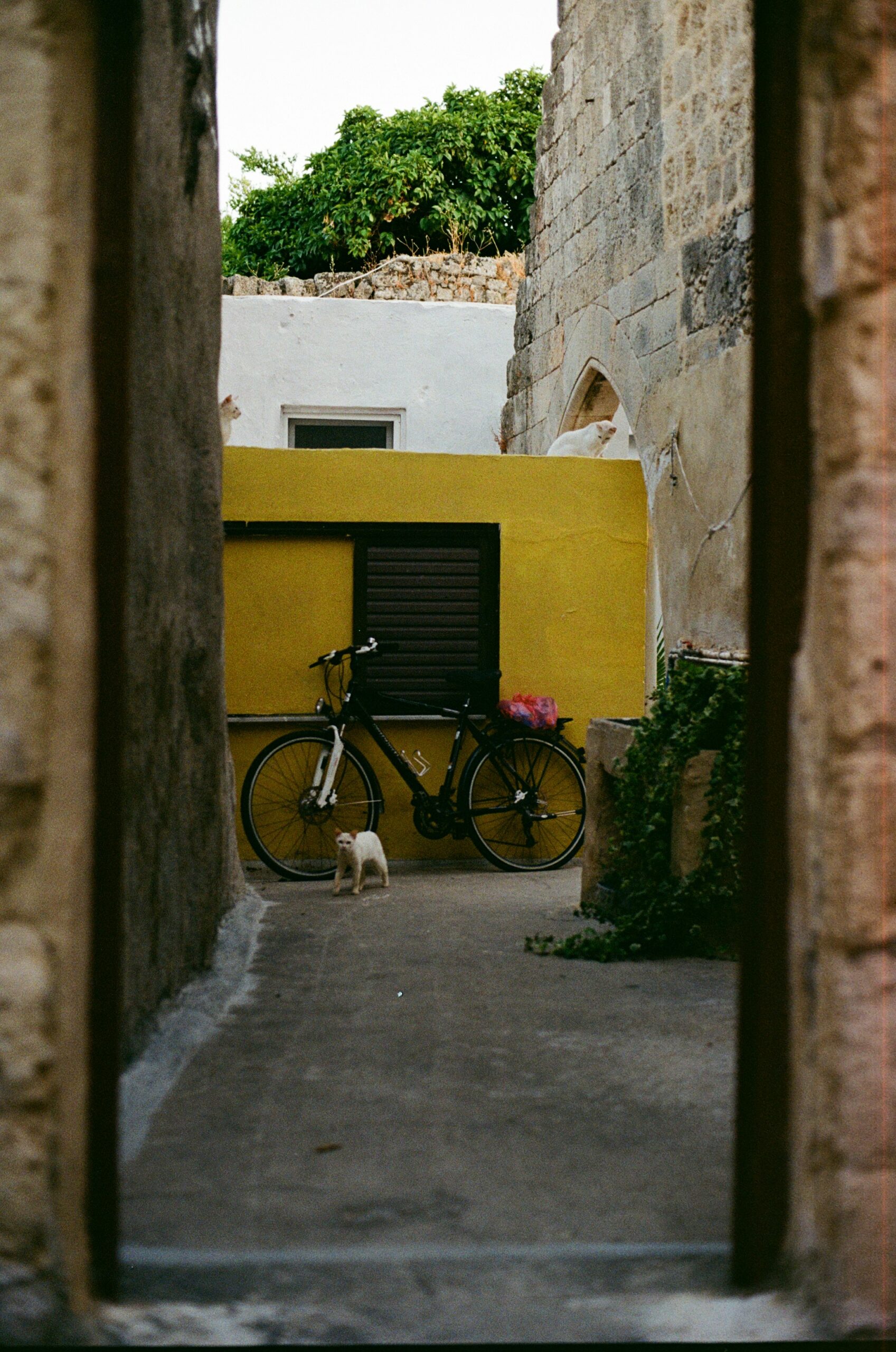 Fietsen op Mallorca in de Winter