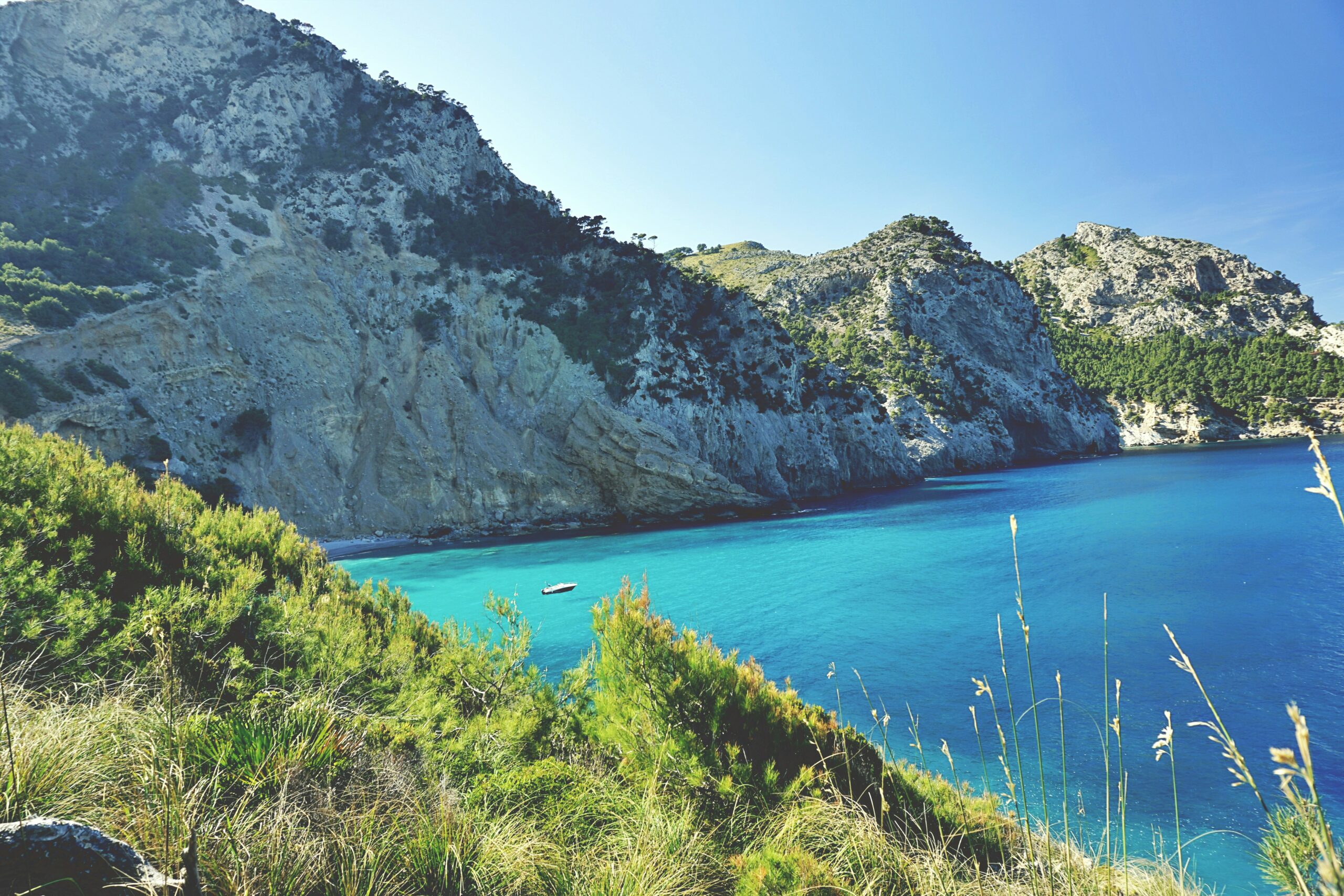 Excursies en Tickets Boeken via GetYourGuide