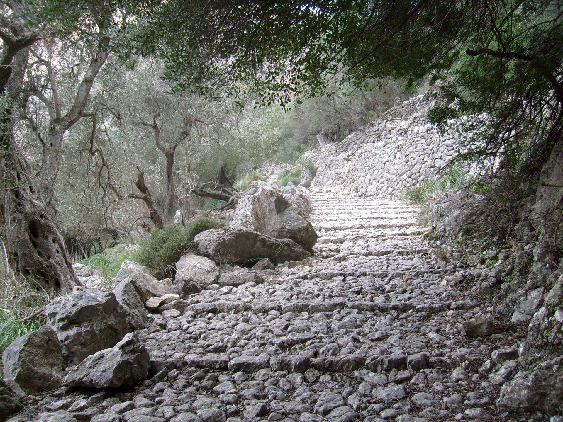 Stenen pad door de Barranc de Biniaraix bij Sóller