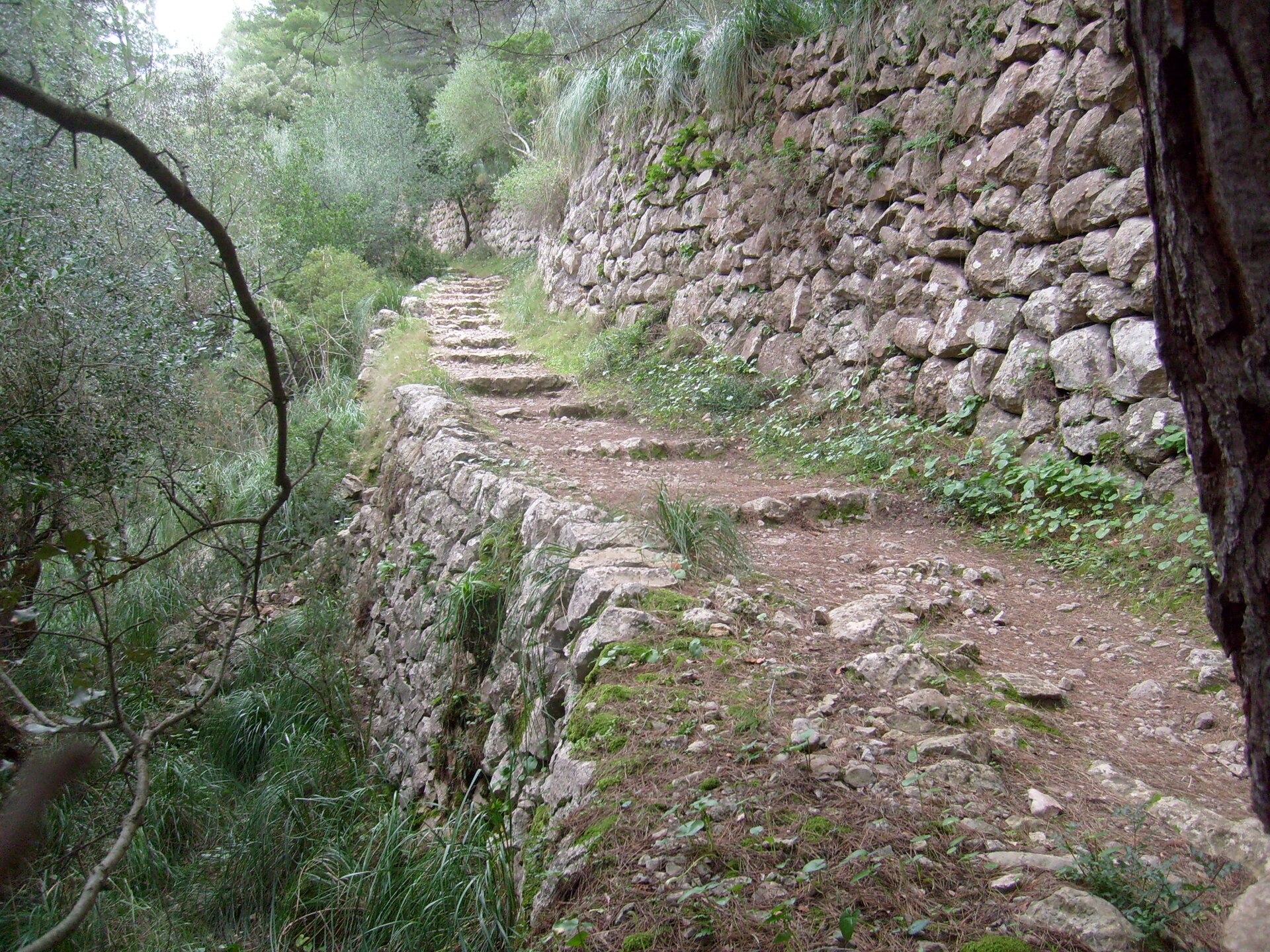 Het bergdorp Deià aan de noordwestkust