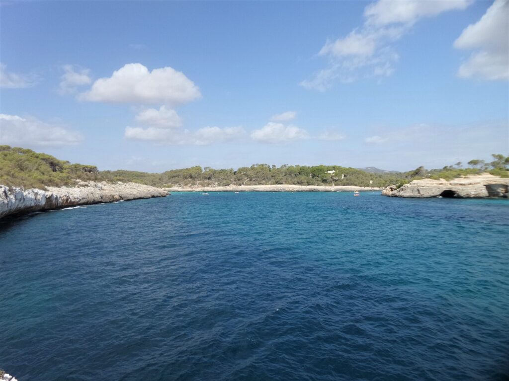 Het strand van Cala Mondragó omringd door dennenbos